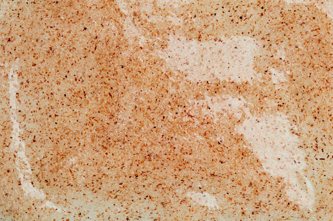 PUHDAS Deeply Purifying Birch Scrub - Image 3
